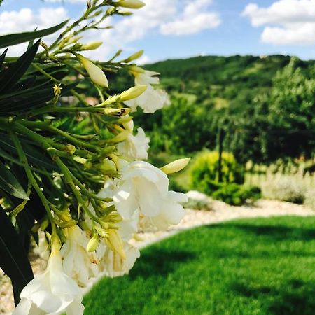 Vass-Villa Vendeghaz Сексард Екстер'єр фото