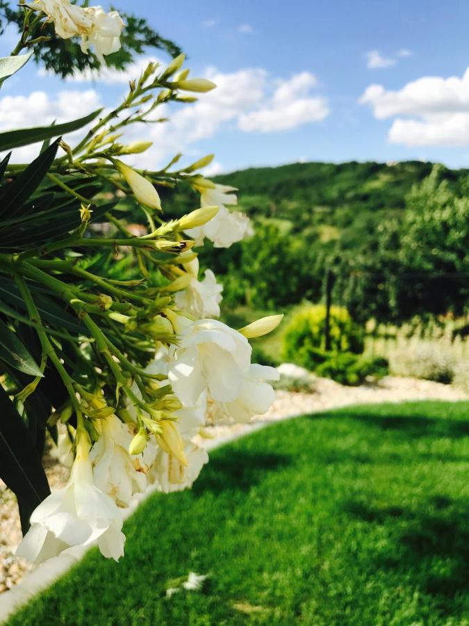 Vass-Villa Vendeghaz Сексард Екстер'єр фото
