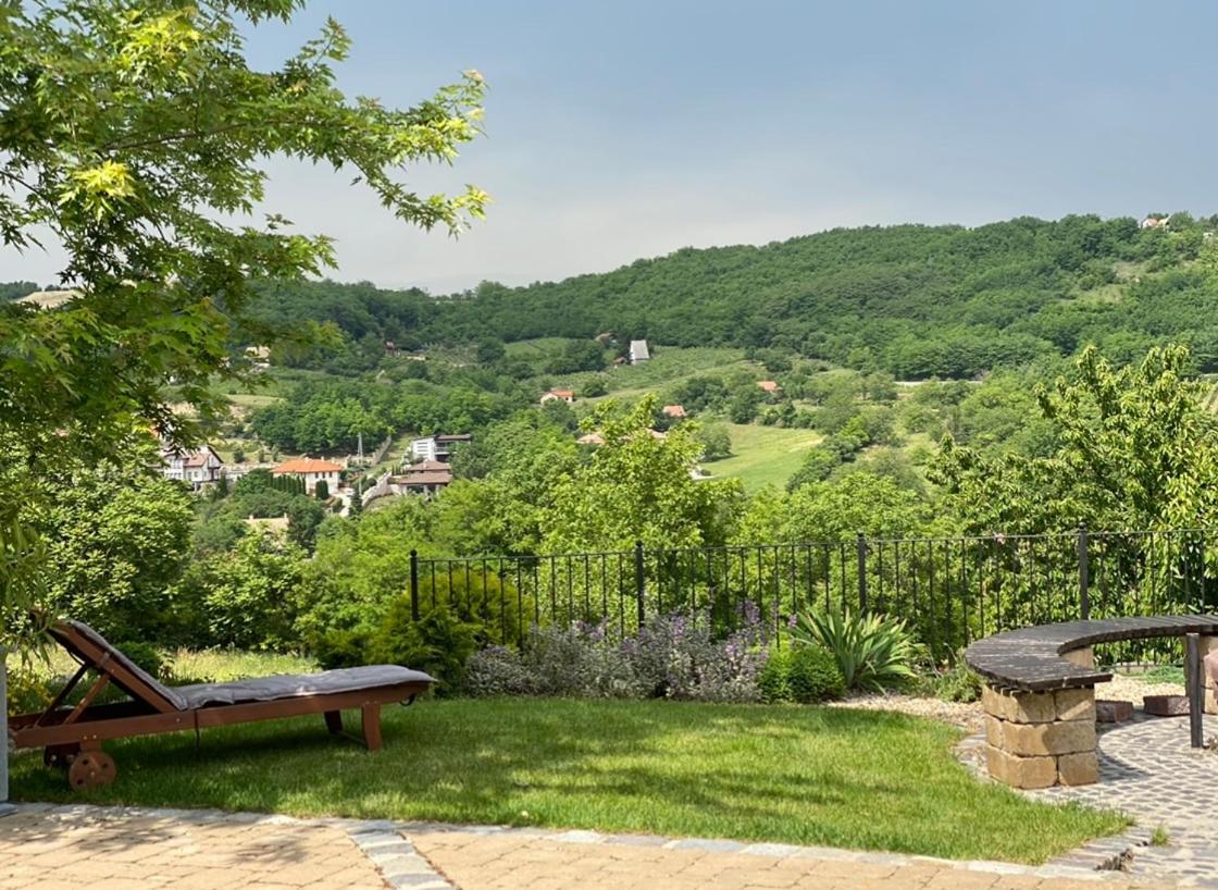 Vass-Villa Vendeghaz Сексард Екстер'єр фото