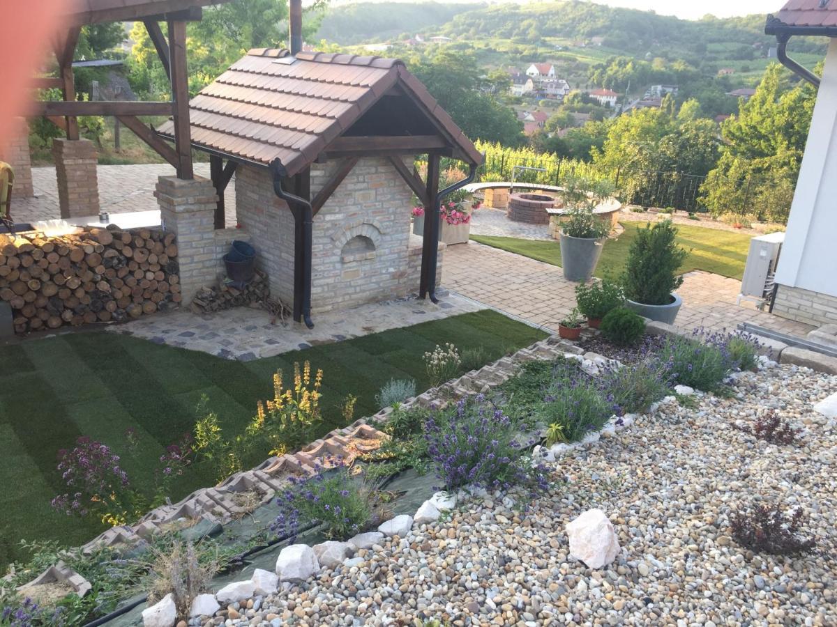 Vass-Villa Vendeghaz Сексард Екстер'єр фото