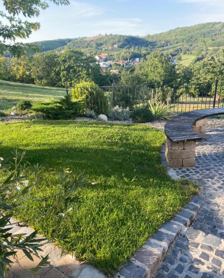 Vass-Villa Vendeghaz Сексард Екстер'єр фото